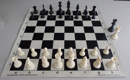 This is the product image for Weighted Chess Pieces (White). Detail: PLASTIC PIECES. Product ID: PCS4H.
 
				Price: $29.95.